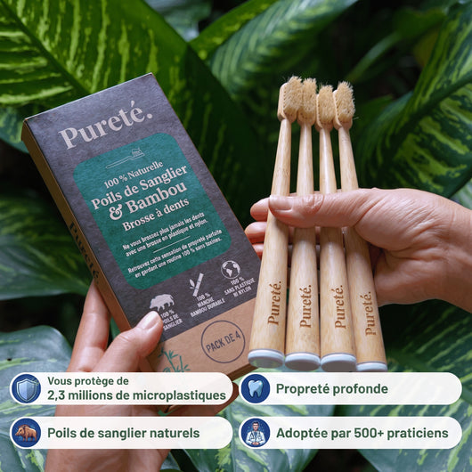 Brosse à dents Pureté. en bambou et poils de sanglier, lot de 4, avec son étui