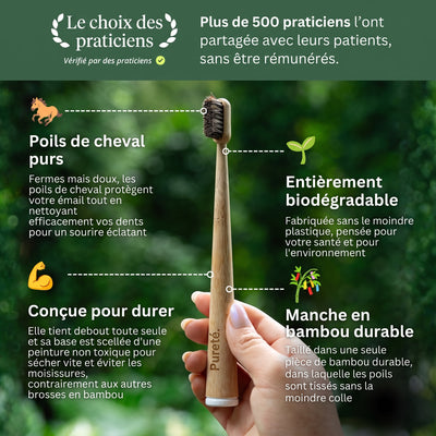 Les 4 bénéfices de la brosse à dents Pureté. en poils de cheval