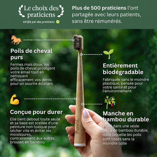 Les 4 bénéfices de la brosse à dents Pureté. en poils de cheval