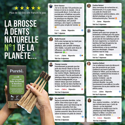 Avis clients sur la brosse à dents Pureté. en poils de cheval