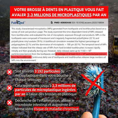 Étude scientifique : 2,3 millions de microplastiques ingérés par an