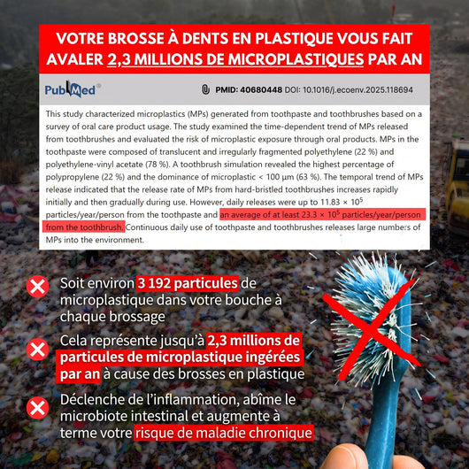 Étude scientifique : 2,3 millions de microplastiques ingérés par an