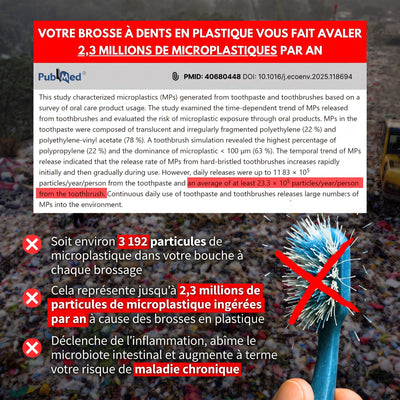 Étude scientifique : 2,3 millions de microplastiques ingérés par an