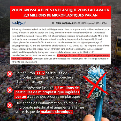 Brosse à dents en bambou, poils de sanglier (lot de 4)