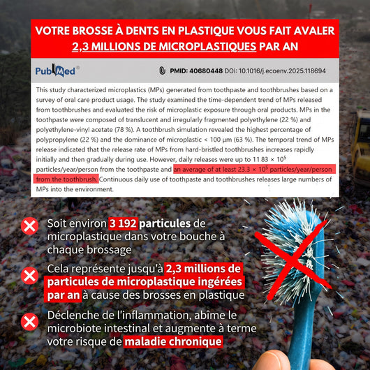 Étude scientifique : 2,3 millions de microplastiques ingérés par an