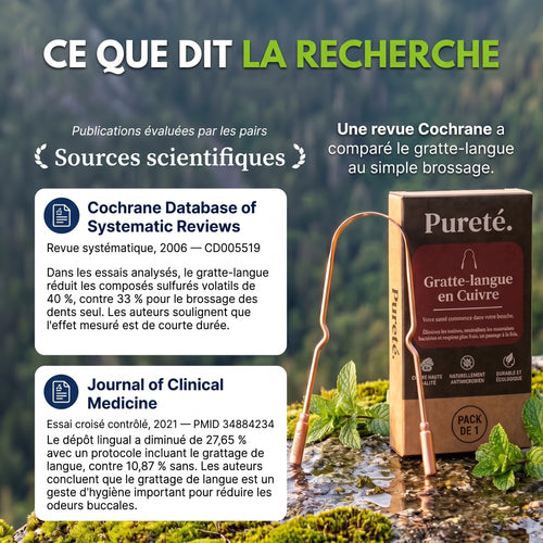 Gratte-langue en cuivre