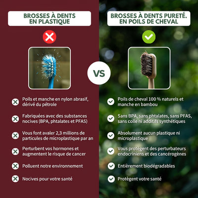 Comparatif brosse à dents plastique contre brosse Pureté. en poils de cheval