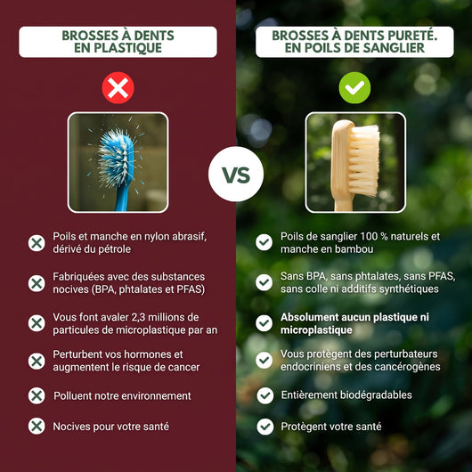 Comparatif brosse à dents plastique contre brosse Pureté. en poils de sanglier