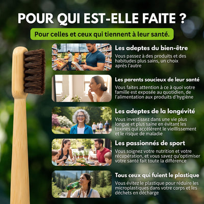 Pour qui est faite la brosse à dents Pureté. en poils de cheval