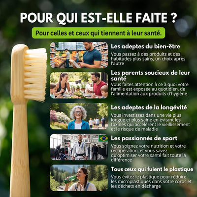 Pour qui est faite la brosse à dents Pureté. en poils de sanglier