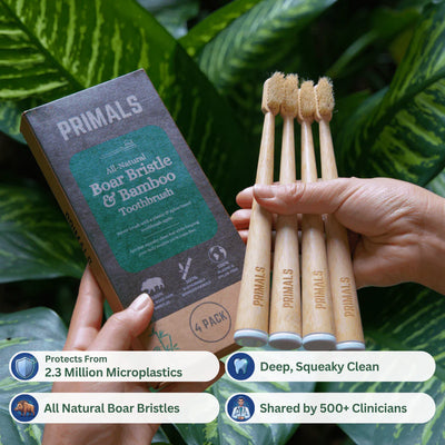 Brosse à dents en bambou, poils de sanglier (lot de 4)